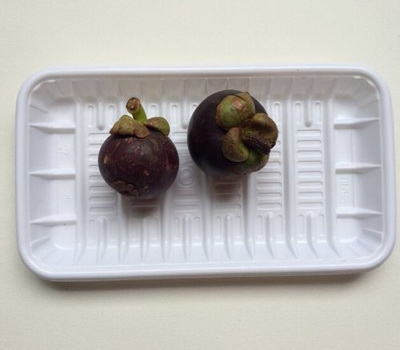 Plastic PET blister tray for fruit packaging FD-011